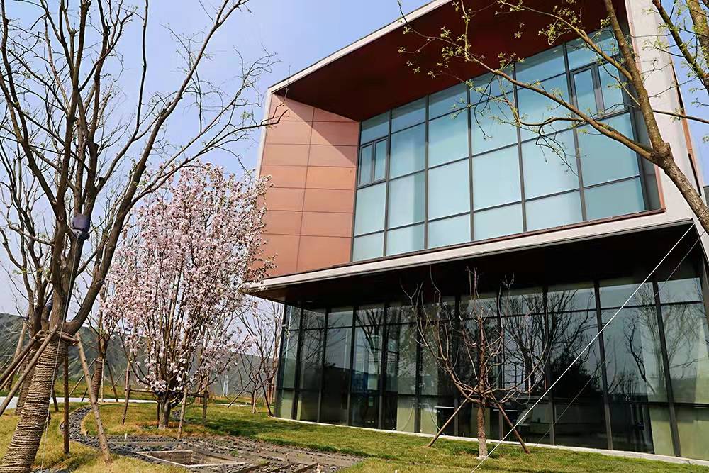 1639638033132442.jpg 1639638033132442.jpg